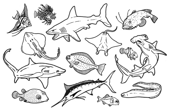 ocean animals coloring printable pages - photo #46